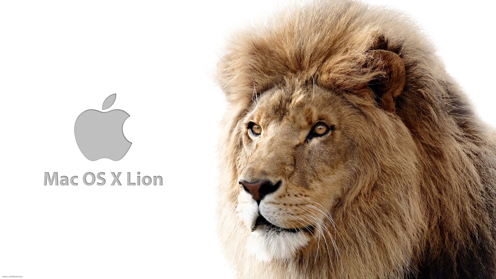 Mac Os Lion Download Usb